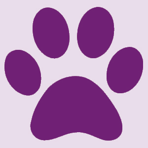 chateau-paw-placeholder chateau-paw-placeholder